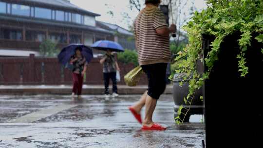 夏日雨中交通街道行人