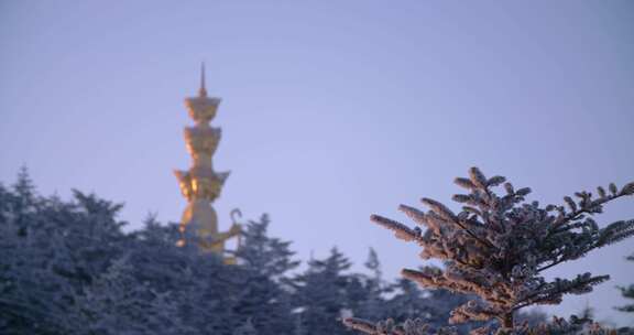 峨眉山 四川 雾凇 冬季 雪景 云海