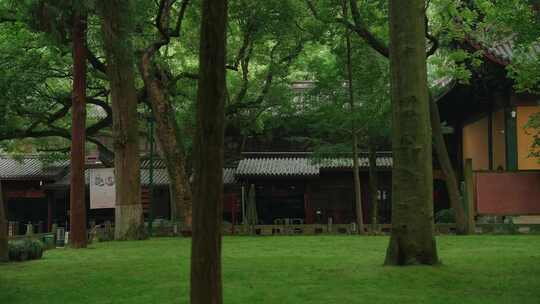 灵隐寺，杭州灵隐寺，无游客