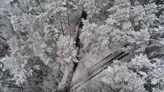 航拍被大雪覆盖的森林中公路