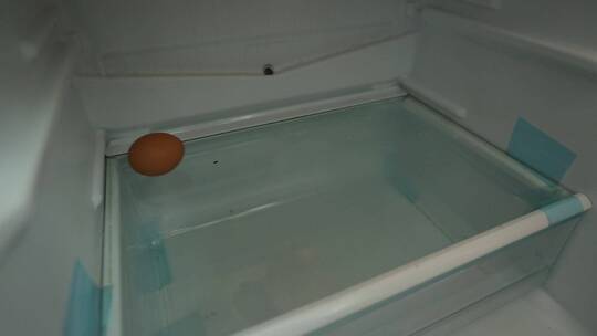 打开冰箱门储存鸡蛋码放鸡蛋