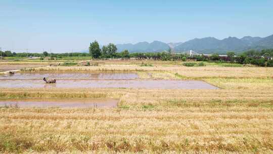 乡村农田风景航拍