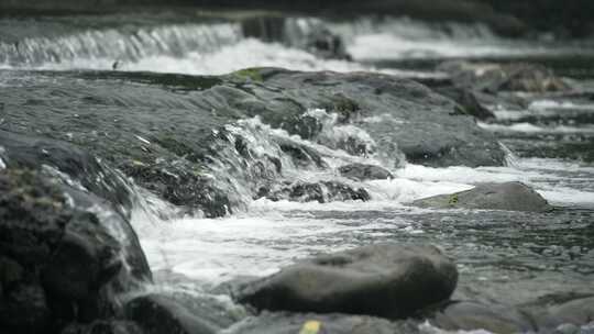 合集 溪流溪水水流升格视频