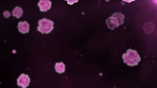 紫色康乃馨花瓣飘飞LED唯美背景演绎视频