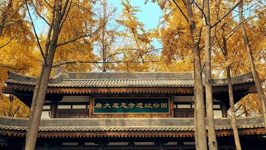 西安大慈恩寺遗址公园古建筑秋季风光
