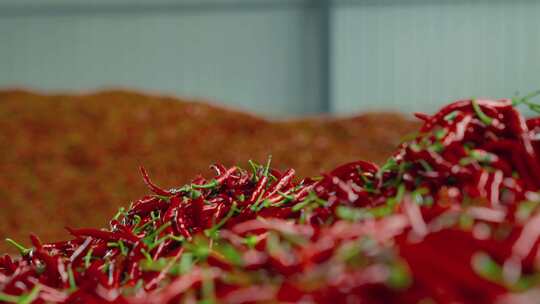 4K辣椒丰收种植采购生产加工基地素材