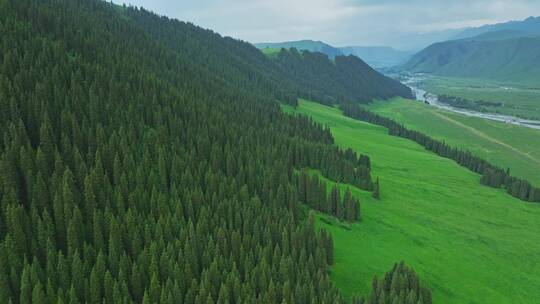 草原森林山脉航拍