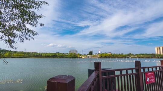 甘肃庆阳市东郊湖湿地公园6K大范围延时素材