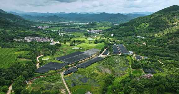 【正版素材】云浮市南药种植基地