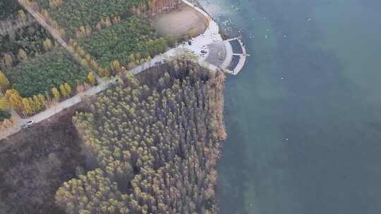 山西平陆大天鹅景区