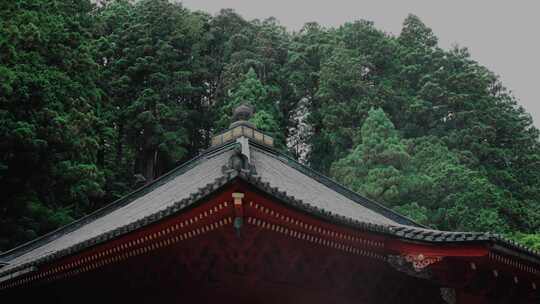 4k日光日本神社屋顶的电影镜头