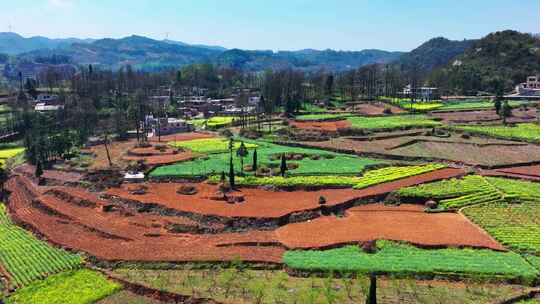 4K航拍贵州乡村田园风光油菜花调色板风景视频素材模板下载