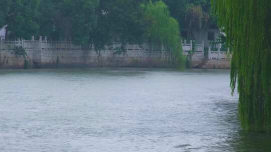 江苏苏州姑苏寒山寺江南水乡下雨季游客风景