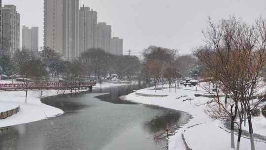 大雪中的街道-亳州涡阳-向阳河