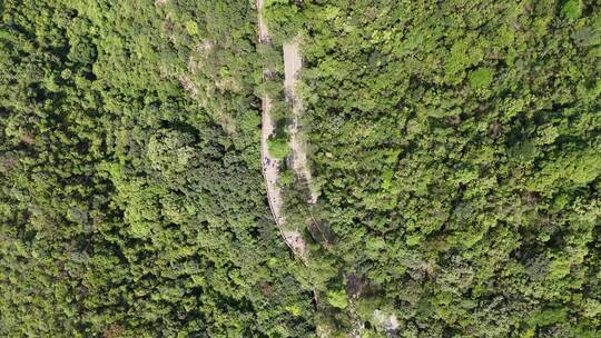 广东观音山国家森林公园第十二届登山大赛