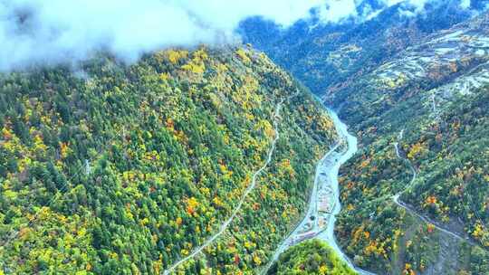 山林间的公路及周边多彩树木景色