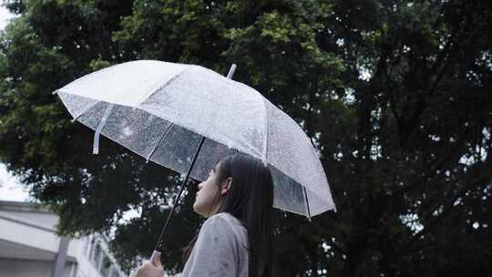 雨天撑伞的女孩视频素材模板下载