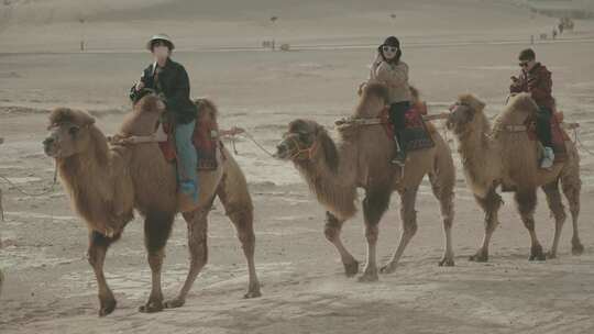 沙漠中骑着骆驼前行的人们