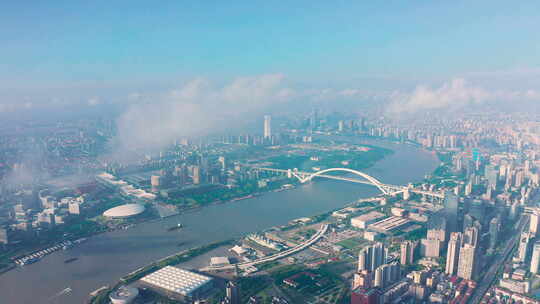 上海 黄埔 清晨 卢浦大桥  上海高架桥