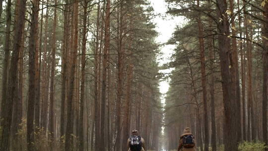 冬季在森林里骑自行的夫妇