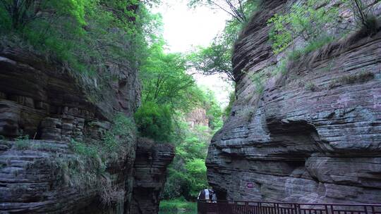 洛阳龙潭大峡谷旅游生态森林河流景点