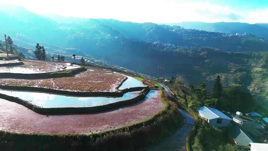 红河撒玛坝梯田航拍