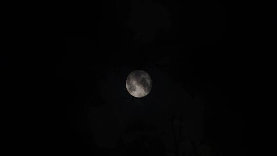 月亮挂在黑夜中