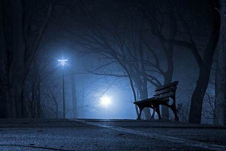 杭州西溪湿地 自然 杭州 西溪 湿地 杭州西溪湿地 自然 杭州 西溪 湿地