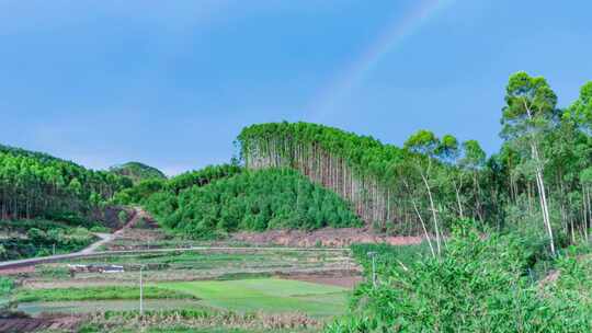 乡村田园绿色森林与天空彩虹延时风光