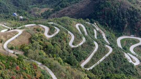 秦岭森林秋色山路