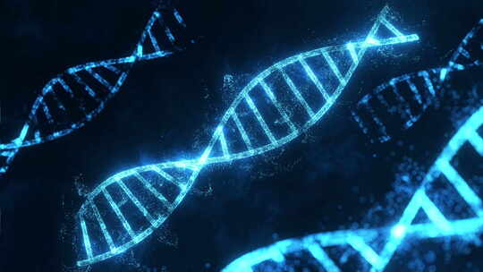 DNA螺旋结构3d模拟11