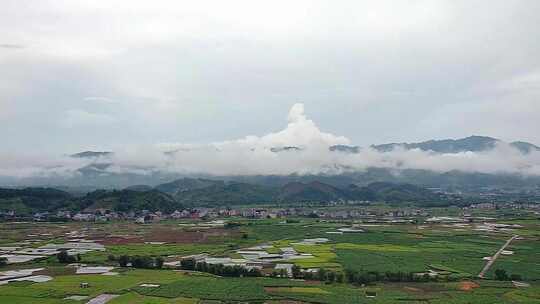 云雾 阴天 雨后