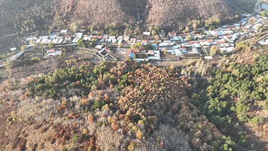 航拍辽阳山区秋季山村