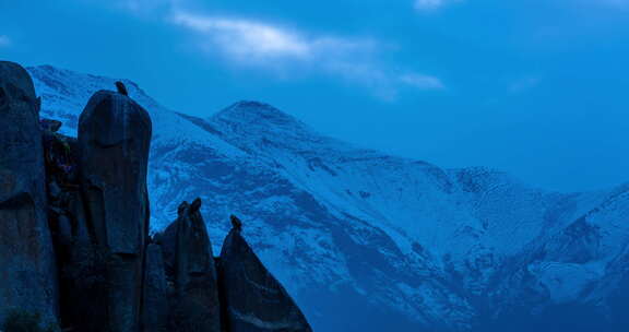 西藏拉萨色拉乌紫雪山秃鹫中景4k延时