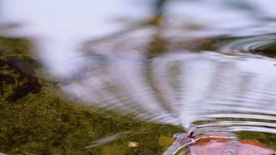 小溪流水水中倒影特写风景视频素材