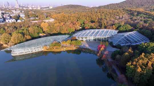 南京秋天 前湖公园 秋天 植物博物馆