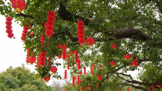 春节红灯笼祈福许愿树