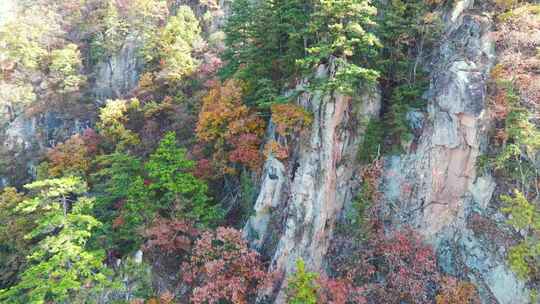 南阳老界岭秋景风光