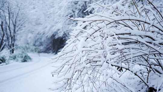 伏牛山冬季雪景雾凇