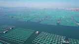 航拍海上网箱养殖区海上粮仓高清在线视频素材下载