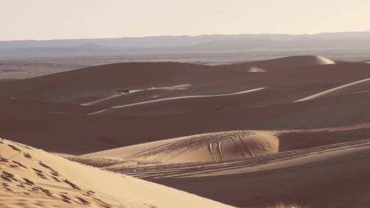 沙漠，沙子，干旱，骆驼