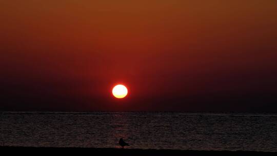 美丽的大海日出日落 海岸线的日出日落
