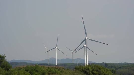 山东文登米山水库田野里的风力发电机组