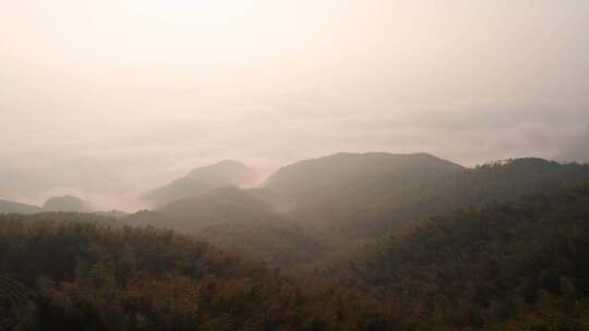 杭州萧山义桥寺坞岭望江阁日出云海竹海航拍