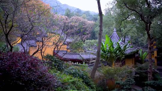 杭州飞来峰永福寺千年古刹建筑4K视频合集