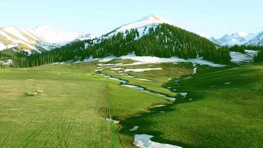 航拍新疆伊犁那拉提森林雪山