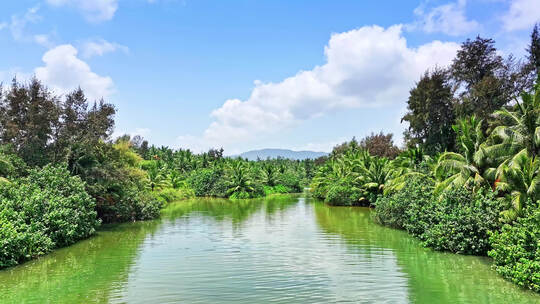 海南陵水河出口处 椰子岛