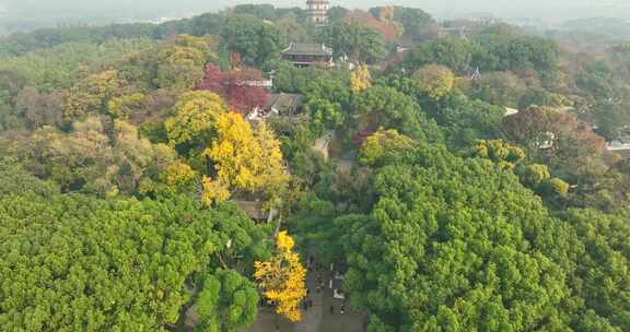 航拍秋季苏州虎丘山风景区