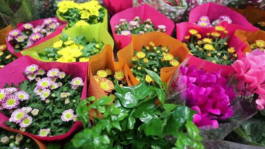 花卉市场花卉