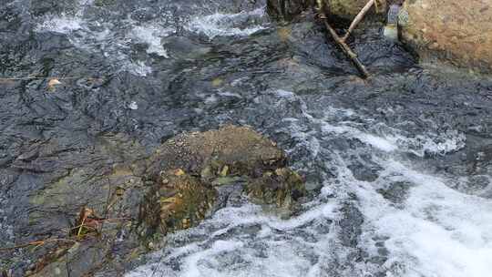 大山里的小溪河流石头水花唯美生态